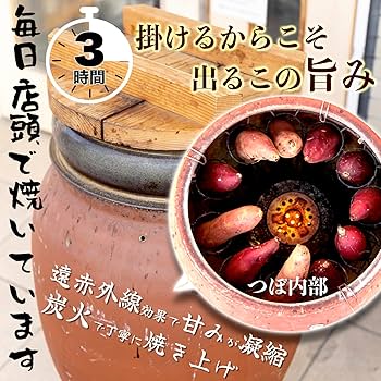 Amazon.co.jp: つぼ焼き芋 冷凍 1本 250g 個包装 焼き芋